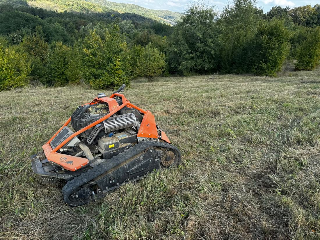 Mașina pe teren cosit, cu pădure în spate
