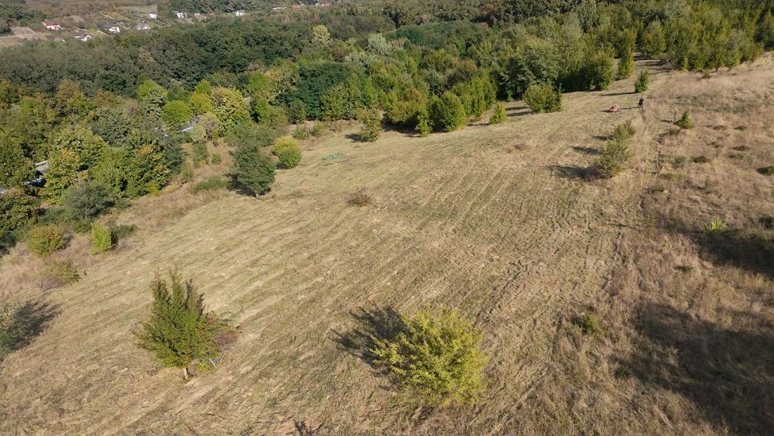 Teren întins, curățat, cu pădure în jur